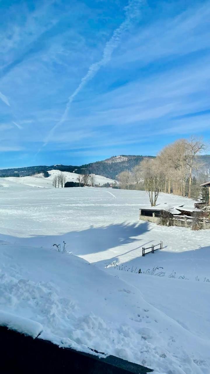 Villa Iris - La Prima Villa Vacanze Nell'Altopiano Asiago Eksteriør bilde